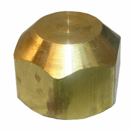Larsen Supply Co 0.5 in. Brass Flare Cap, 6PK 207887